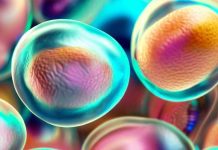 Svelare i segreti dello sviluppo umano: embrioni sintetici derivati da cellule staminali offrono intuizioni e applicazioni rivoluzionarie