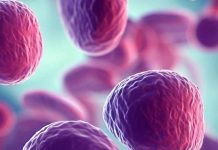 La complessa intersezione tra SARS-CoV-2, immunità e riattivazione dell’oncovirus: un’esplorazione completa