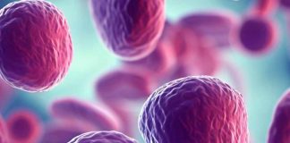 La complessa intersezione tra SARS-CoV-2, immunità e riattivazione dell’oncovirus: un’esplorazione completa