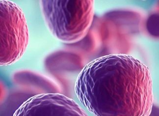 La complessa intersezione tra SARS-CoV-2, immunità e riattivazione dell’oncovirus: un’esplorazione completa