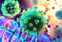 L’impatto dell’infezione da SARS-CoV-2 sul cancro: una revisione approfondita