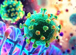 L’impatto dell’infezione da SARS-CoV-2 sul cancro: una revisione approfondita