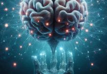 The Role of Somatostatin-Positive Interneurons in Age-Related Cognitive Decline
