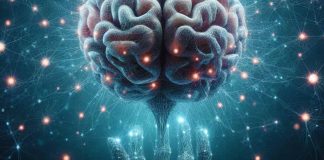 The Role of Somatostatin-Positive Interneurons in Age-Related Cognitive Decline