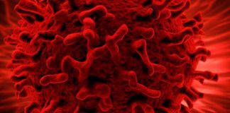 Understanding Epstein-Barr Virus (EBV) and Its Impact on Human Health