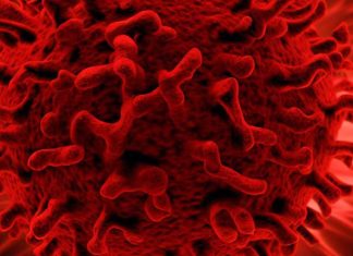 Understanding Epstein-Barr Virus (EBV) and Its Impact on Human Health