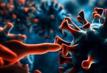 Unveiling the Mysteries of COVID-19: Insights from Postmortem Autopsies and Viral Persistence