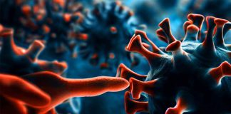 Unveiling the Mysteries of COVID-19: Insights from Postmortem Autopsies and Viral Persistence