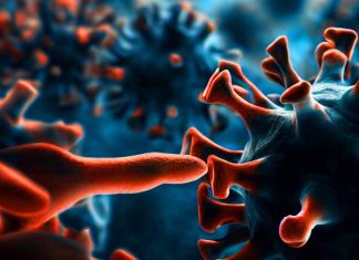 Unveiling the Mysteries of COVID-19: Insights from Postmortem Autopsies and Viral Persistence