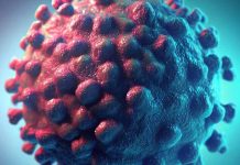 Ulcera vulvare Lipschütz: svelare l’enigma dell’eziologia, della diagnosi e dei collegamenti emergenti con SARS-CoV-2