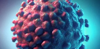Ulcera vulvare Lipschütz: svelare l’enigma dell’eziologia, della diagnosi e dei collegamenti emergenti con SARS-CoV-2