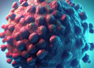 Ulcera vulvare Lipschütz: svelare l’enigma dell’eziologia, della diagnosi e dei collegamenti emergenti con SARS-CoV-2