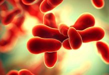 Macroamylasemia: An Uncommon Culprit of Elevated Amylase Levels in COVID-19 Patients