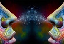 The Fascinating World of Crossmodal Correspondences: How Odors Shape Our Perception of Color