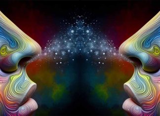 The Fascinating World of Crossmodal Correspondences: How Odors Shape Our Perception of Color