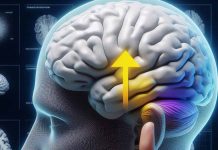The Unseen Crisis: Investigating New-Onset Psychiatric Disorders During the COVID-19 Pandemic