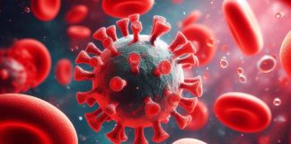 Long-term Hematological and Hemorheological Effects of Mild COVID-19 Infections