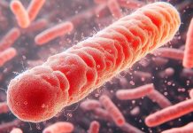 New York City’s Battle Against Tuberculosis: A Looming Public Health Crisis