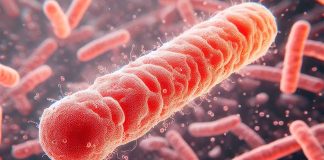 New York City’s Battle Against Tuberculosis: A Looming Public Health Crisis