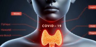 The Impact of COVID-19 on the Thyroid Gland: Unraveling the Connection to Autoimmune Thyroid Diseases