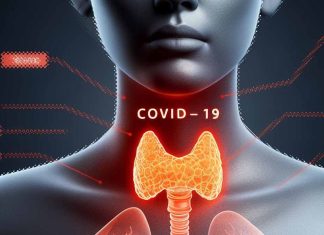 The Impact of COVID-19 on the Thyroid Gland: Unraveling the Connection to Autoimmune Thyroid Diseases