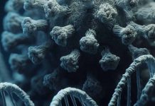 The Role of Small Non-Coding RNAs in SARS-CoV-2 Infection