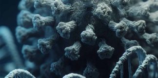 The Role of Small Non-Coding RNAs in SARS-CoV-2 Infection