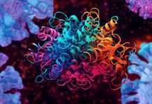 Unraveling the Enigma of SARS-CoV-2’s Cryptic ORF3c: An Immune Evasion Factor