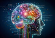 Unveiling the Mysteries of Neuromodulation: A Breakthrough in Understanding Human Brain Health