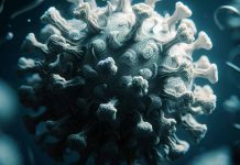Antioxidant Enzyme Polymorphisms and their Association with the Severity of COVID-19