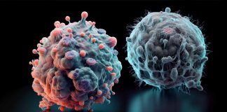 Comprehensive Analysis of Depo-Provera: Approval, Usage, Side Effects and Breast Cancer Risk