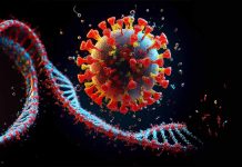Esplorazione del potenziale del mononucleotide di nicotinamide (NMN) nella modulazione dell’attivazione immunitaria e del recupero delle cellule T CD4+ nell’HIV/AIDS
