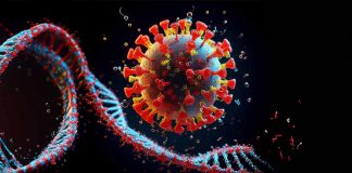 Exploring the Potential of Nicotinamide Mononucleotide (NMN) in Modulating Immune Activation and CD4+ T Cell Recovery in HIV/AIDS