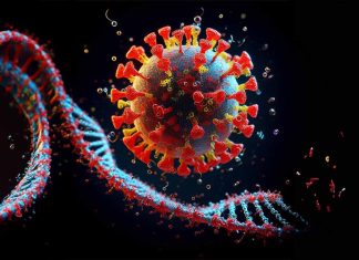 Esplorazione del potenziale del mononucleotide di nicotinamide (NMN) nella modulazione dell’attivazione immunitaria e del recupero delle cellule T CD4+ nell’HIV/AIDS