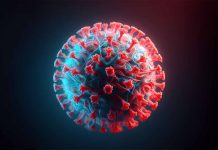 Human Parvovirus B19 (B19V) in Israel: Clinical Manifestations, Complications and Recent Incidence Trends
