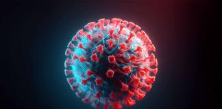 Human Parvovirus B19 (B19V) in Israel: Clinical Manifestations, Complications and Recent Incidence Trends