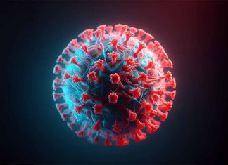 Human Parvovirus B19 (B19V) in Israel: Clinical Manifestations, Complications and Recent Incidence Trends