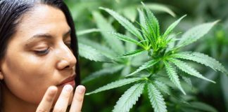 Occupational Asthma Fatality in Cannabis Industry: A Comprehensive Public Health Investigation