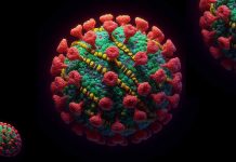 Progress and Challenges in the Global Fight Against Measles