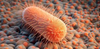 Il potenziale della doxiciclina nella prevenzione delle infezioni sessualmente trasmissibili: una svolta nella prevenzione delle malattie sessualmente trasmissibili