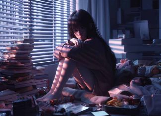 Understanding and Assessing Hikikomori: Introducing the Hikikomori Diagnostic Evaluation (HiDE)