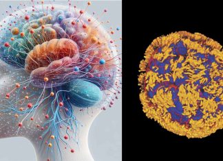 Anthrobots as Self-Constructing Biobots from Human Lung Epithelium