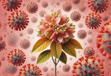 Dual Antiviral and Anti-Inflammatory Properties of 3-epi-betulin Isolated from Daphniphyllum glaucescens Against SARS-CoV-2: A Potential Therapeutic Breakthrough