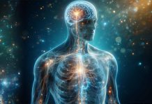 The Role of Dopamine in Human Decision-Making
