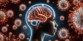 The persistent impact of SARS-CoV2 on the brain