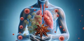 Manifestazioni gastrointestinali nel COVID-19 e potenziale ruolo dei semi di anice (Pimpinella anisum L.) nella gestione
