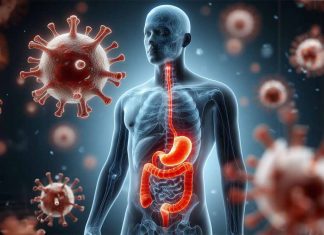 The Ongoing Pandemic and its Long-Term Impacts on Digestive Diseases: Insights from a UK Biobank Study