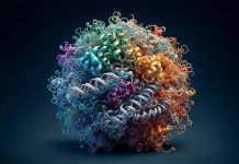 Unraveling the Mystery: How Cancer Triggers a Brain-Targeting Immune Response