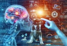 Cognitive Aging in Dogs: Behavioral and Physiological Perspectives