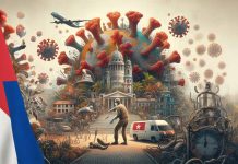 Oropouche Virus Disease Outbreak in Cuba: A Detailed Analysis